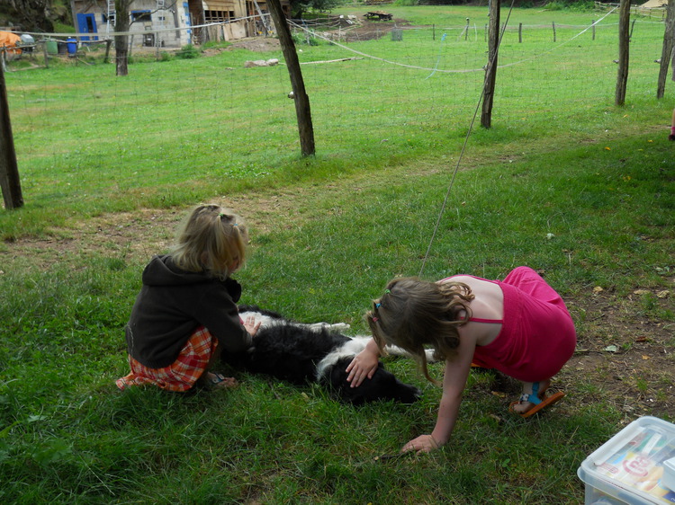 DSCN0271.JPG