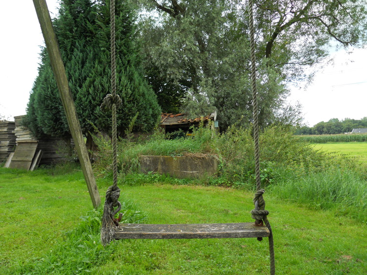DSCN0783.JPG