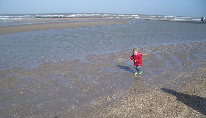 strand.jpg