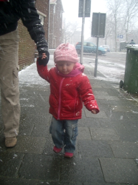 IMGP3863.JPG