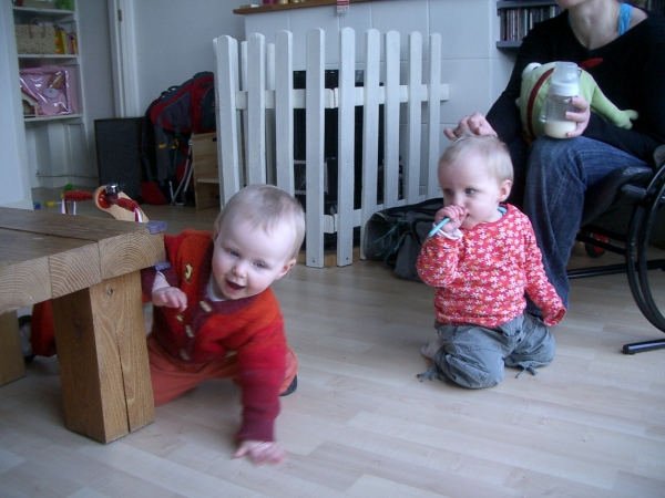 IMGP2788.JPG
