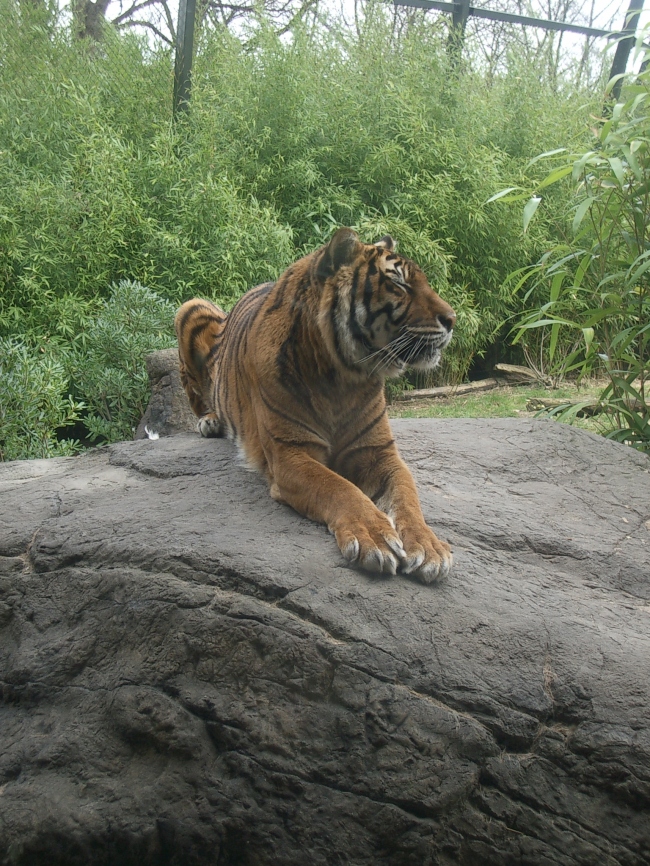 IMGP4156.JPG