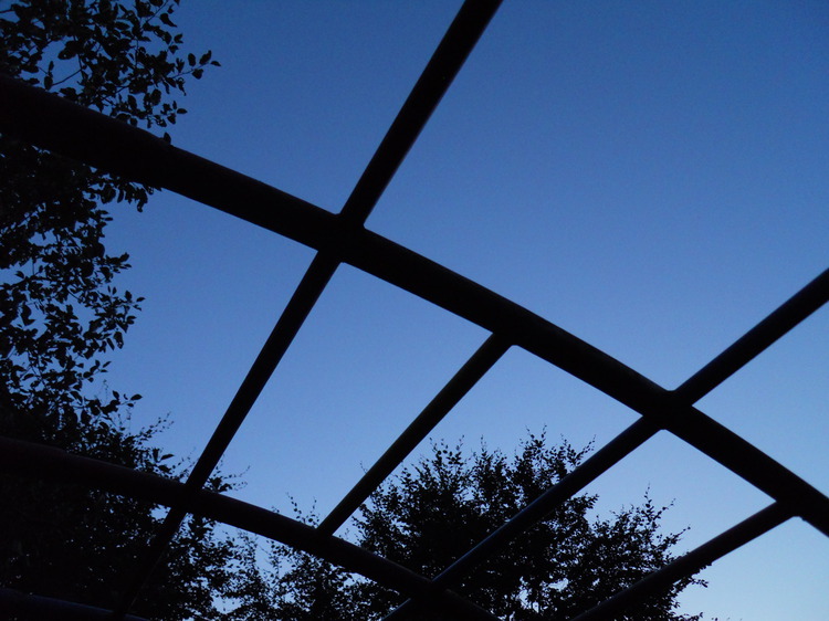 DSCN0739.JPG