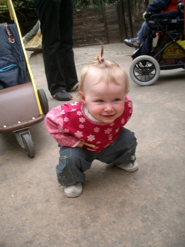 IMGP3000.JPG