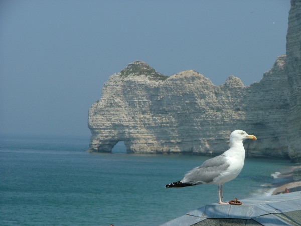 DSCF5868.JPG